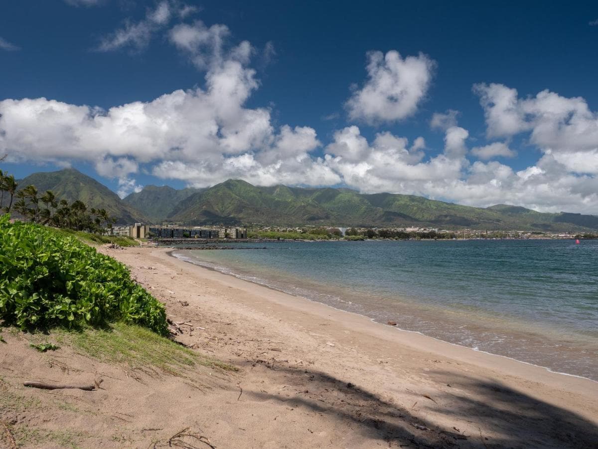 Maui Seaside Hotel