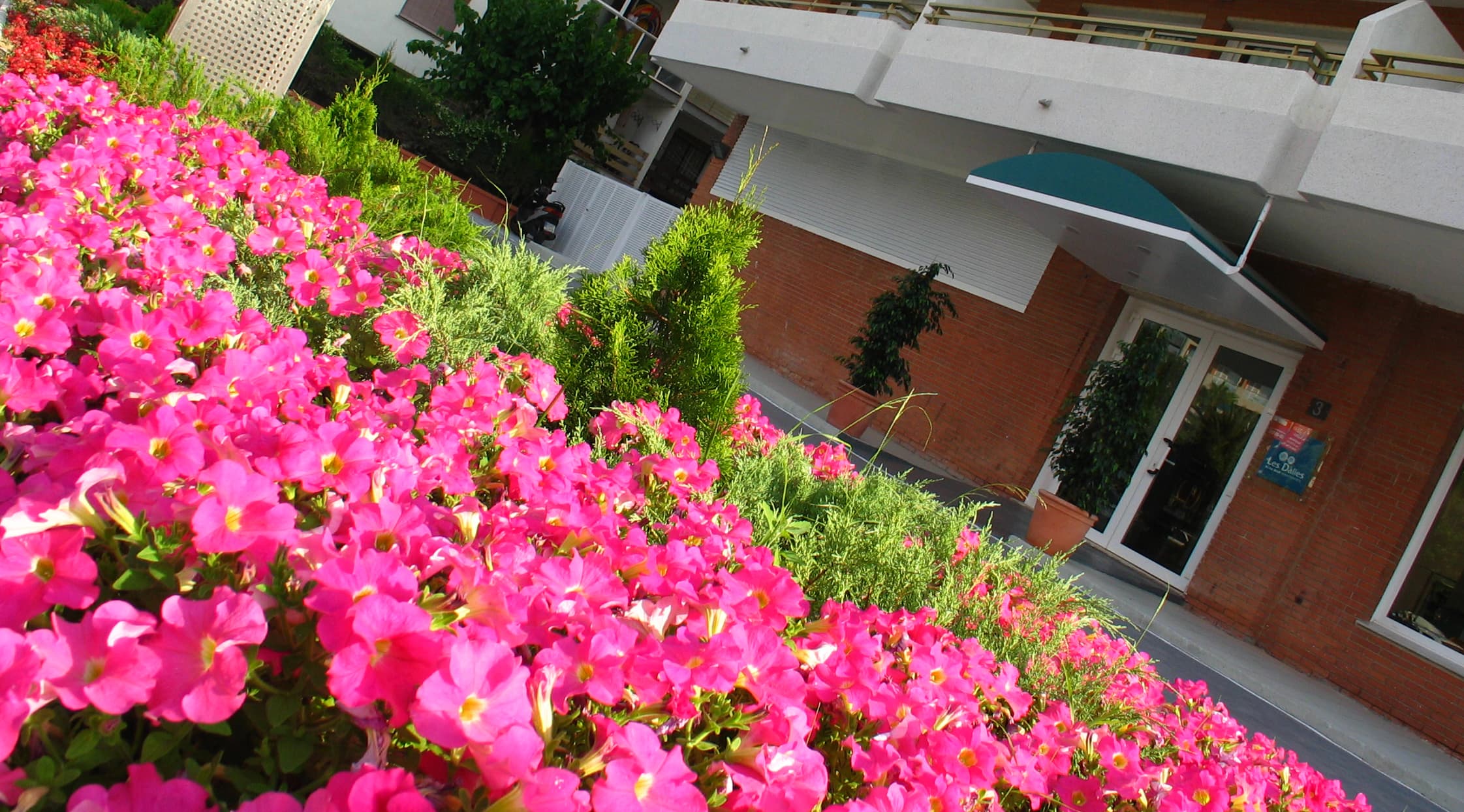 Les Dalies Apartamentos