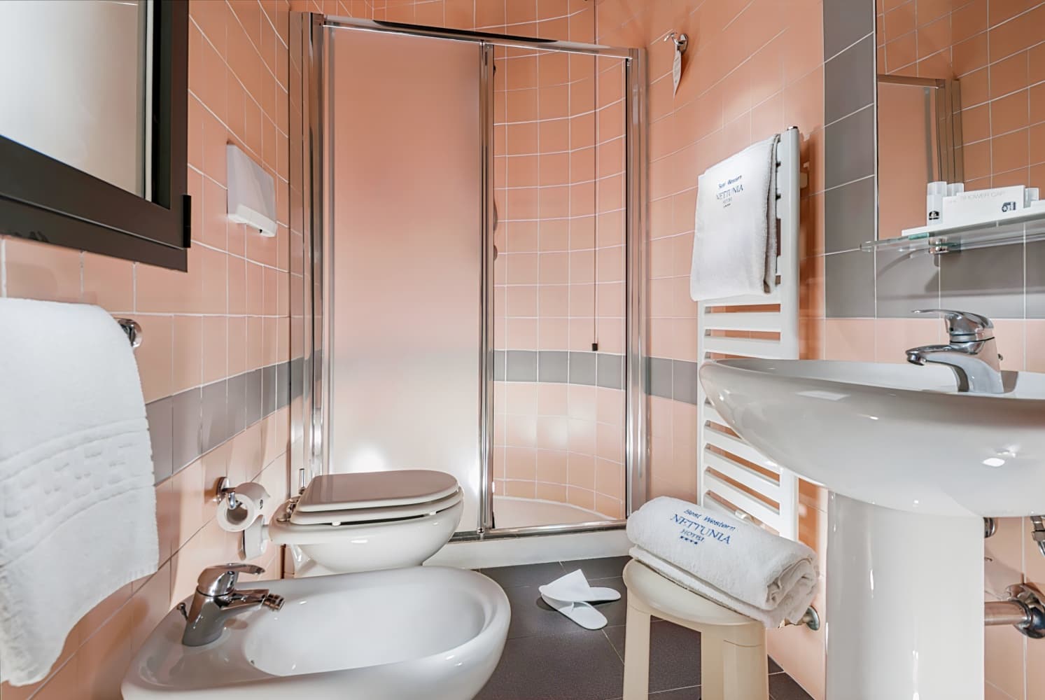 Best Western Hotel Nettunia